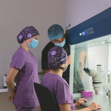 Slider image (6) PROFERT Santo Domingo